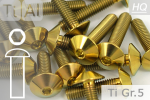Titanschrauben | Gold | M4 | ~ISO 7380  | Gr.5 | Linsenkopf